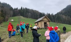 unadjustednonraw thumbef1