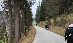 unadjustednonraw thumbf01