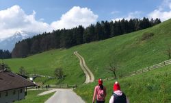 unadjustednonraw thumbf6e