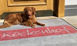 unadjustednonraw thumbfb9