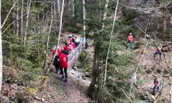 unadjustednonraw thumbfdd