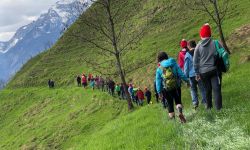 unadjustednonraw thumb