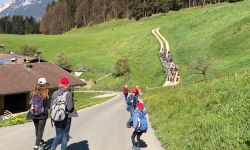 unadjustednonraw thumbc5