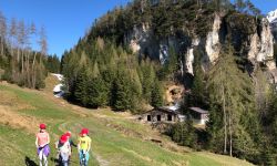 unadjustednonraw thumb