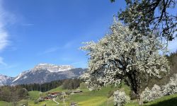 tirolkreis reise 2025 impressionen