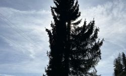 tirolkreis reise 2025 impressionen